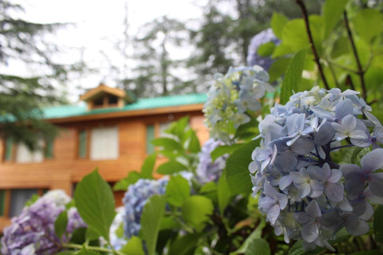 Mary'S Cottages Manali  Luaran gambar
