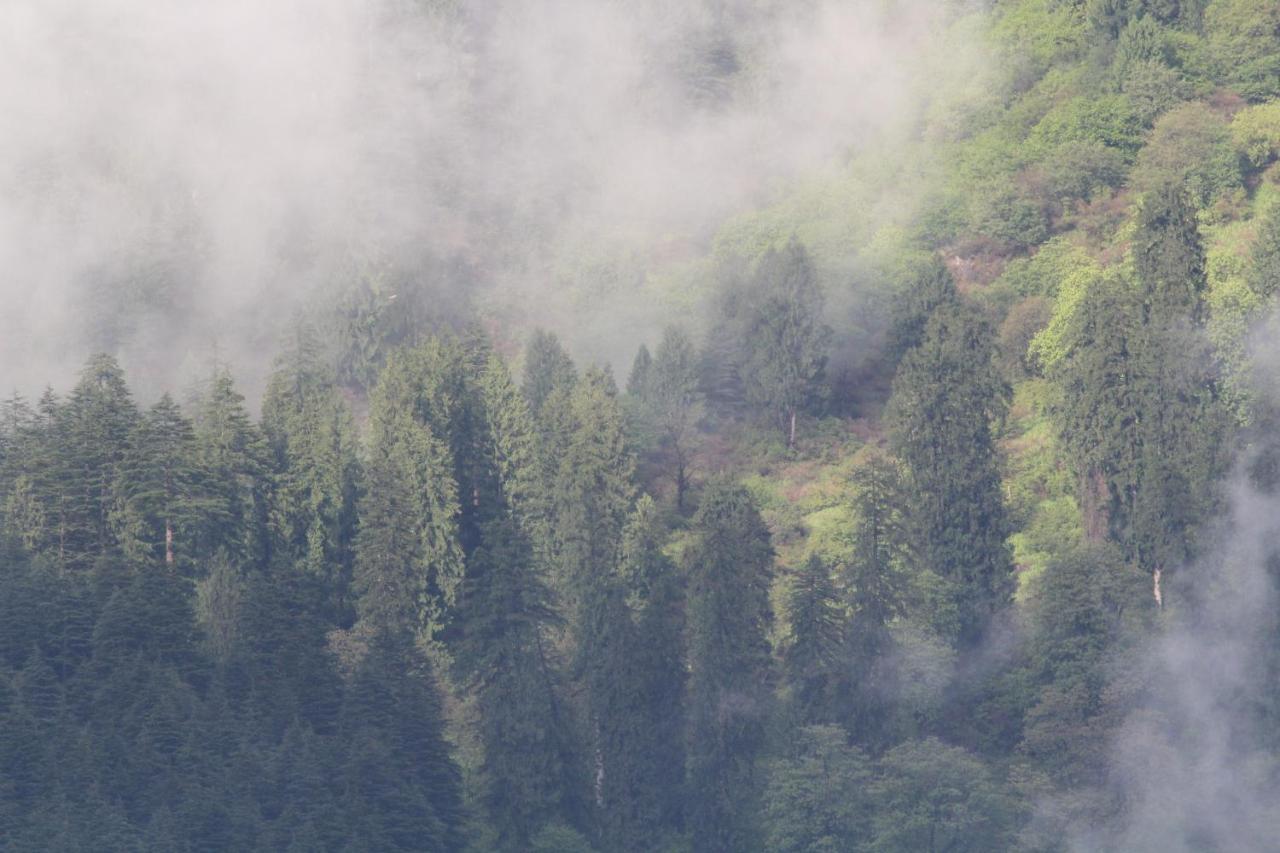 Mary'S Cottages Manali  Luaran gambar